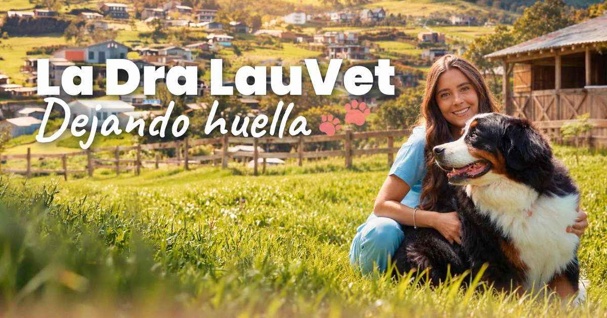 la dra lau vet