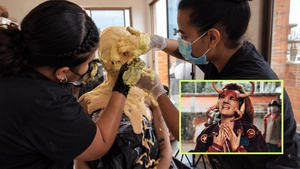 Así es el increíble maquillaje que transformó a actores en insectos para una película colombiana