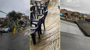 EN VIDEO | Las fuertes lluvias de este domingo provocaron caída de árboles, inundaciones y daños en viviendas en Guarne