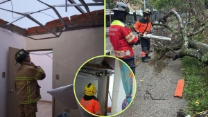 EN VIDEO | Lluvias en Bello dejaron daños estructurales, la creciente de una quebrada y árboles caídos