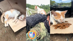 EN VIDEO | La encontraron abandonada en la selva y un infante de Marina decidió adoptarla: esta es la historia de Micha