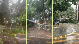 EN VIDEO | Fuerte aguacero en Medellín y el Valle de Aburrá: granizada, ventarrones, árboles caídos, inundaciones y quebradas en nivel rojo