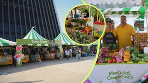 Medellín tendrá un concurso de chorizo y morcilla con degustaciones gratis: conozca dónde y cuándo