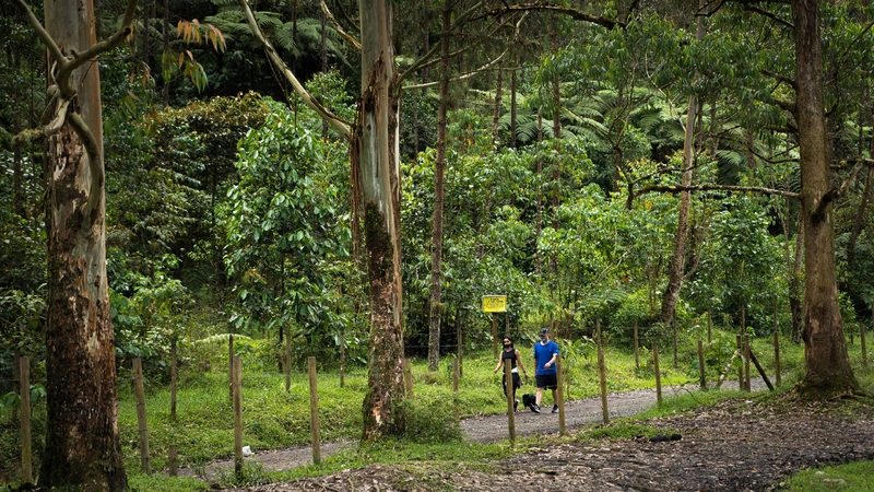 Foto: Antioquia es Mágica