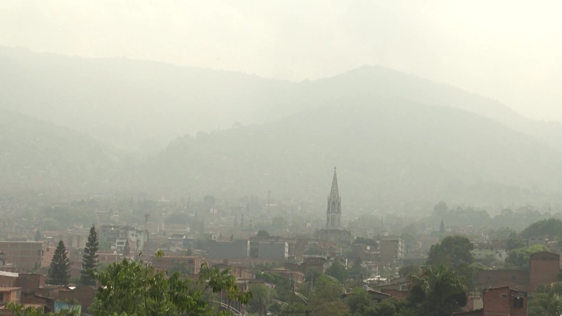 Valle de Aburrá: polen afecta vías respiratorias