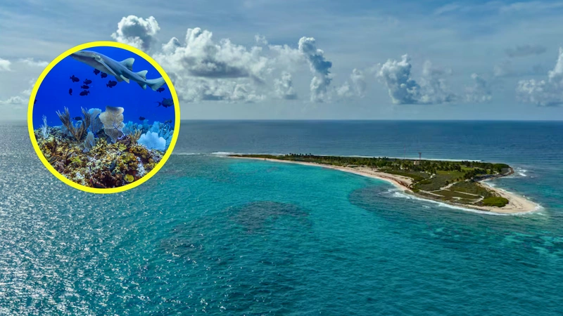 Fotos: Prensa National Geographic Society