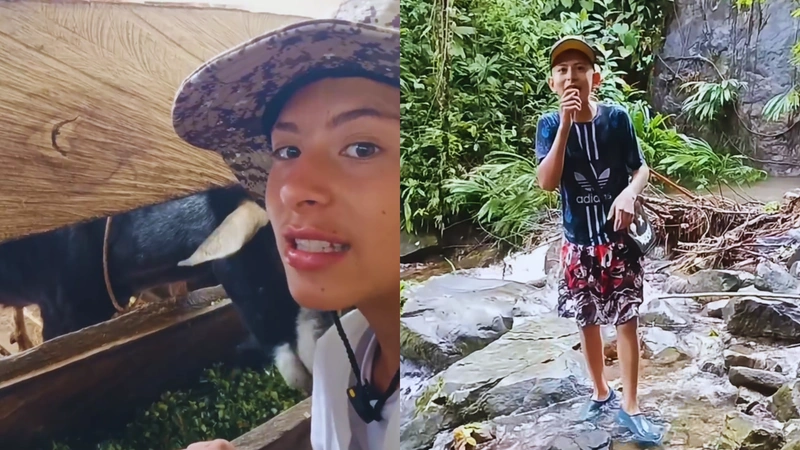 Joven campesino Mauricio Arias. Capturas de pantalla tomadas de videos de redes sociales.
