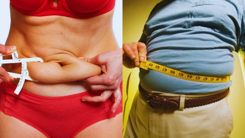 El músculo es tejido activo que mejora el metabolismo, genera fuerza, estabiliza articulaciones y participa en el equilibrio hormonal. Fotos: Infosalus - revistalagunas