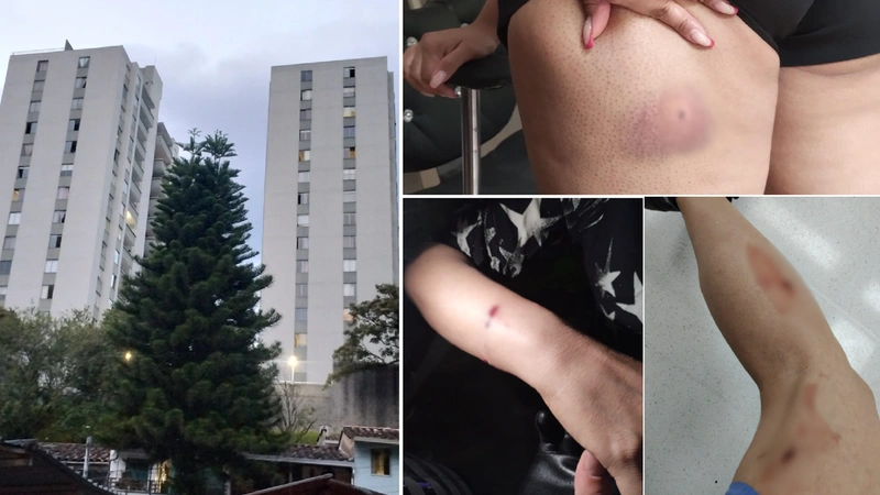 Se hablan de, por lo menos, 7 heridos. La Policía aún no se pronuncia sobre el caso del cual tiene conocimiento desde el pasado 9 de julio. Fotos: Cortesía