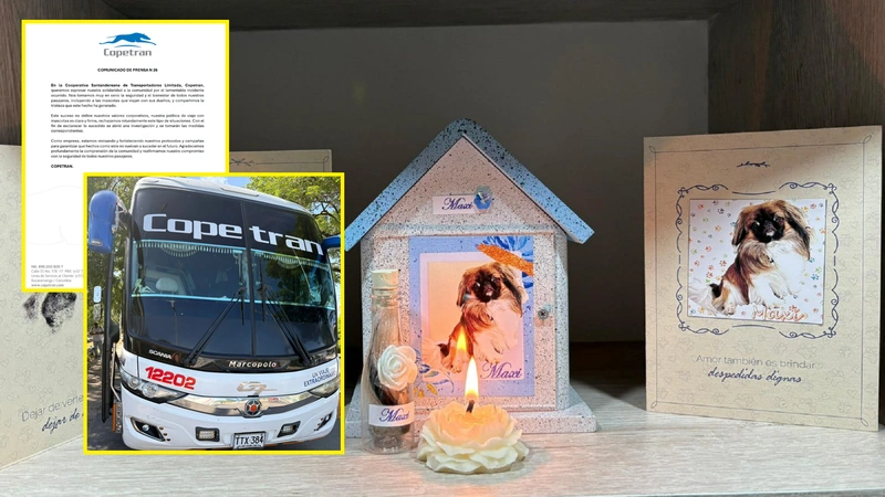 La empresa Copetran aseguró que abrió una investigación para determinar las responsabilidades de la muerte de 'Maxi', el perrito al que obligaron a viajar en el maletero de uno de sus buses. Foto: Cortesía