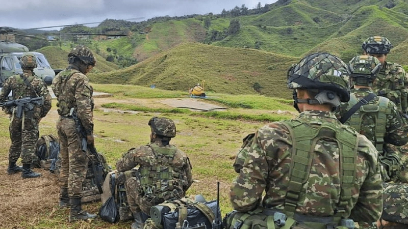 Guerrilleros del Eln usaron un burro cargado con explosivos para atentar contra tropas del Ejército en Valdivia. Foto: Archivo