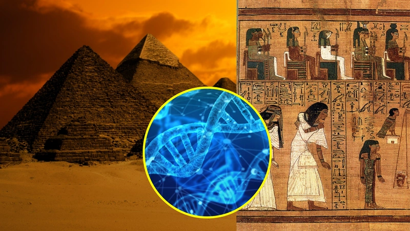 Hallan la cadena de ADN más antigua de Egipto.