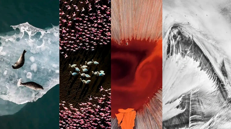 Fotos: Images Aerial Photographer of the Year