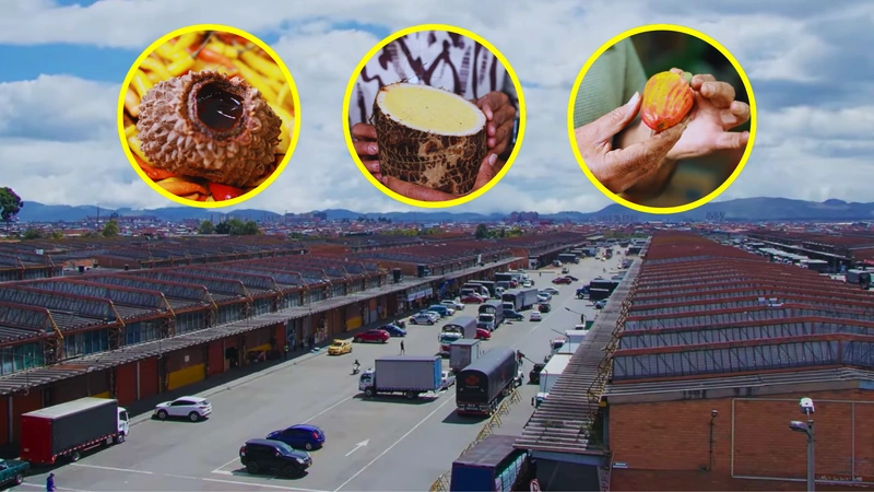 Conoce algunas frutas que se esconden en las plazas de mercado del país. Capturas de pantalla del programa La Canasta de Teleantioquia.