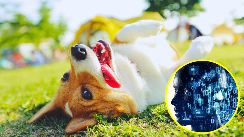 ¿En un futuro los animales hablarán con los humanos?