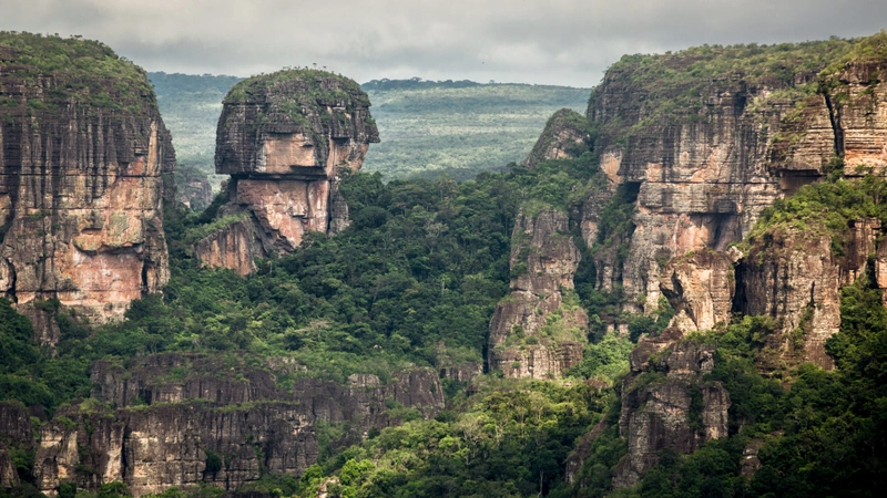 Fotos: Colombia Travel- WWF