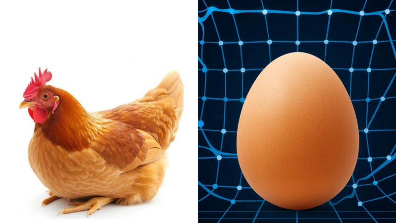 El huevo no solo es un objeto cotidiano: es la demostración de un ciclo natural perfecto que ocurre cada día en silencio. Fotos: Istock - IA