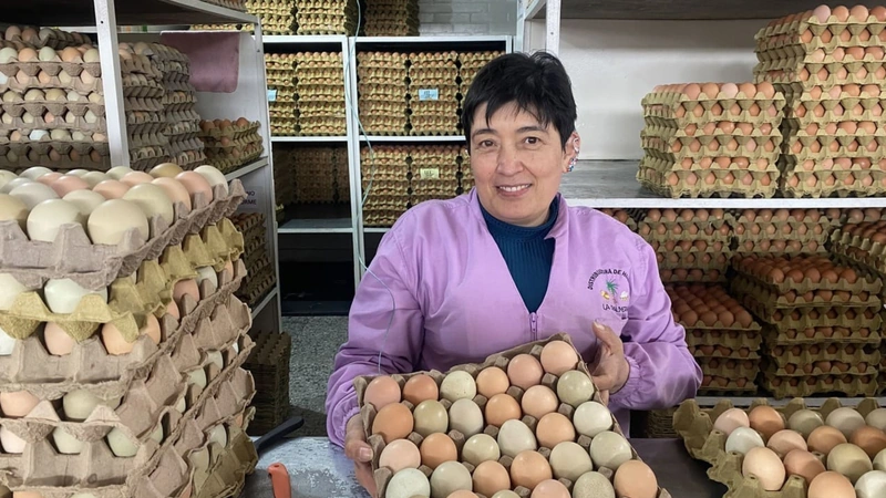 En Antioquia se producen más de 82 mil toneladas de huevos cada mes, consolidando al departamento como uno de los grandes abastecedores del país. Foto: www.ipes.gov.co