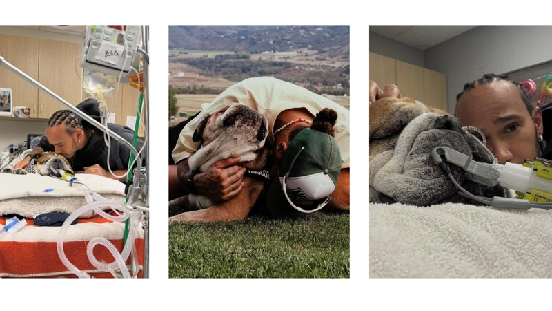 Fotos: @lewishamilton