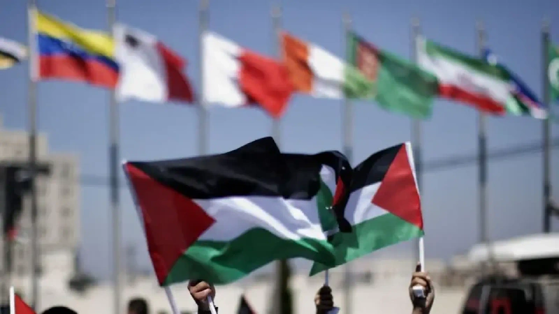 La imagen muestra en detalle la bandera de Palestina y al fondo las banderas de otros países pertenecientes a la ONU. Foto: BBC News