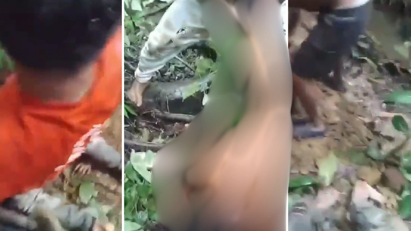 Un grupo de ocho adolescentes habrían violado a una joven en medio de la selva del Chocó. Grabaron el video y lo compartieron. Fotos: Screenshot