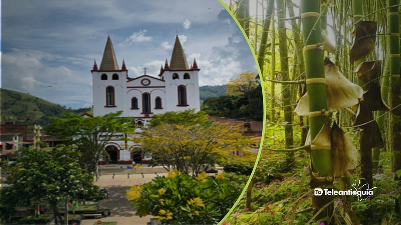 Llegar a este destino es sencillo: basta con tomar la vía Medellín–Urabá y atravesar el Túnel de Occidente Fernando Gómez Martínez. Fotos: Antioquia es Mágica - cronicadelquindio