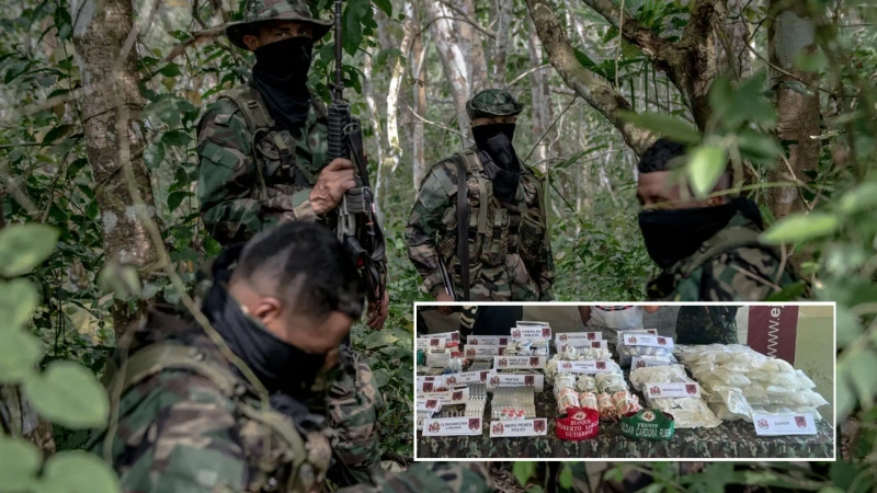 Clan del Golfo medicinas: imagen de integrantes de esa organización criminal en una selva colombiana. Foto de algunos de los medicamentos incautados.