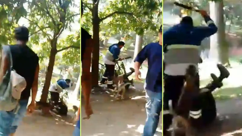 En las imágenes se puede ver cómo el funcionario de Espacio Público le da planazos al habitante de Calle. Alcaldía dice que actuó para defenderse. Foto y video: Denuncias Antioquia