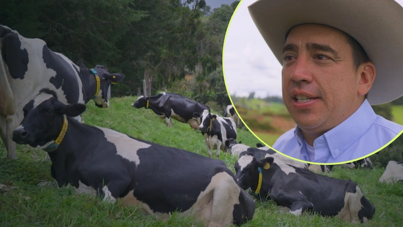 El programa de Teleantioquia, El Campo según Tano, visitó una lechería que le está apostando a la tendencia de la leche A2A2. Fotos: Teleantioquia