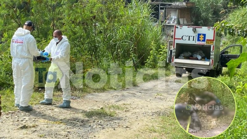 A los cuerpos los habrían llevado en un vehículo hasta la zona boscosa y los habrían intentado quemar. Fotos: Mateo Laverde / TANoticias