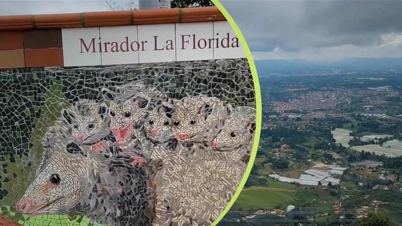 Fotos: Alcaldía de El Carmen de Viboral