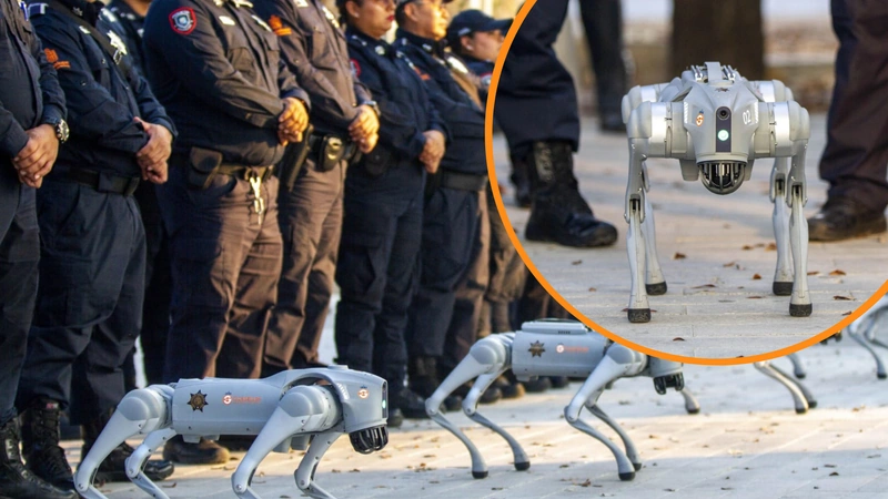 La división K9-X está compuesta por cuatro perros robots. Tomado de redes sociales.