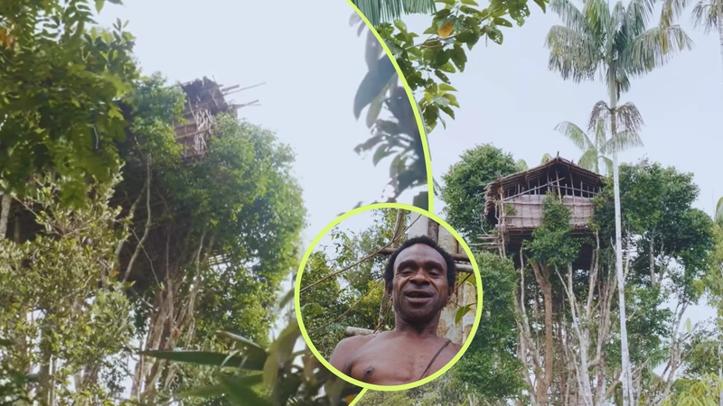 Así vive la tribu Korowai de Indonseia. Fotos: Capturas de pantalla del canal de YouTube Lethal Crysis.