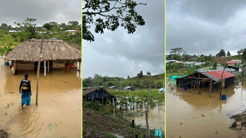 Las lluvias causaron graves inundaciones, cultivos y viviendas en 13 municipios de Antioquia. Foto: cortesía.