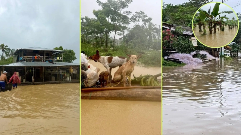 Las lluvias han causado graves afectaciones en calles, viviendas y cultivos. Foto: cortesía.