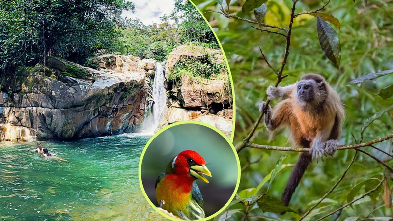 Fotos: Antioquia es Mágica