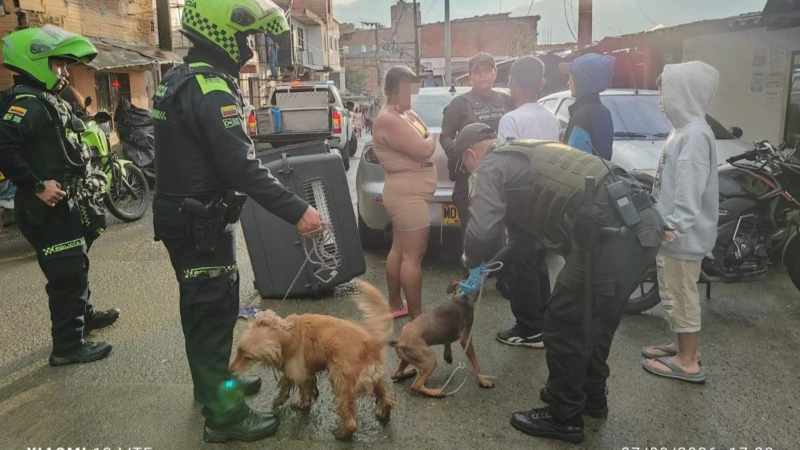 Rescatan perros maltratados en Medellín.