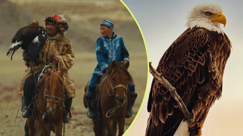 Así cazan con águilas en Mongolia. Capturas de pantalla del canal de YouTube Lethal Crysis.