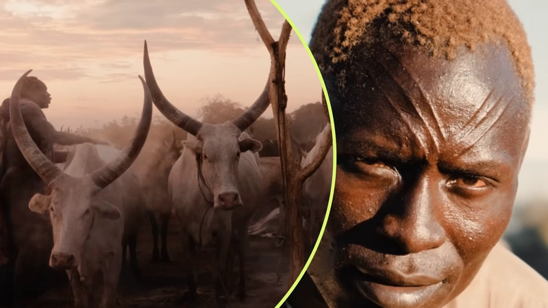 Conoce la comunidad africana que venera a las vacas. Captura de pantalla del canal de YouTube Lethal Crysis.