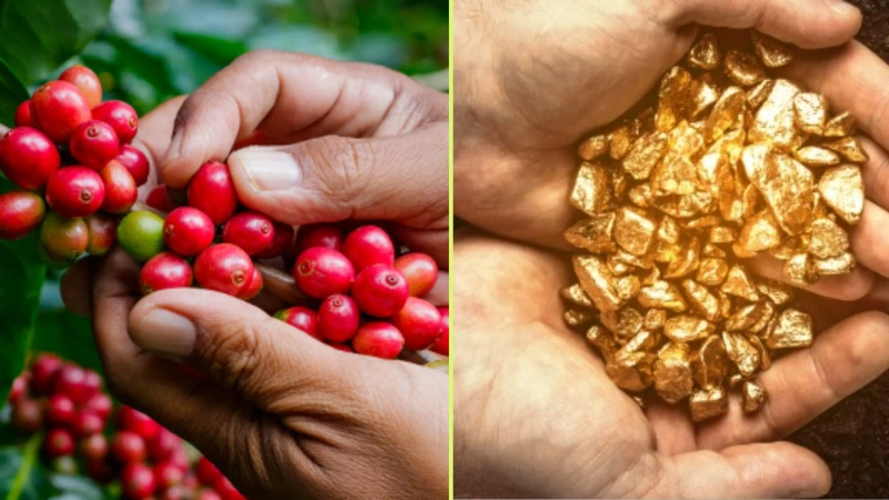 En 2025, el departamento exportó 10.786 millones de dólares, según cifras de comercio exterior. Foto: cortesía.