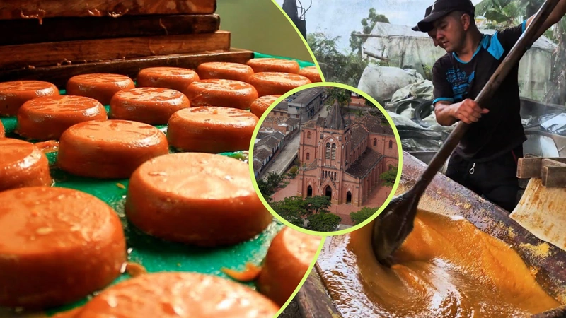 Este tipo de experiencias se ha convertido en una alternativa para quienes buscan conocer prácticas tradicionales del campo colombiano y comprender cómo se elaboran algunos de los alimentos más representativos del país. Fotos: TvAgro - Redes Sociales - Antioquia es Mágica