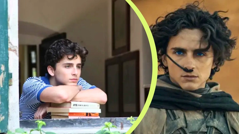 Así fue la transformación de Timothée Chalamet. Fotos: Hollywood Reporter.