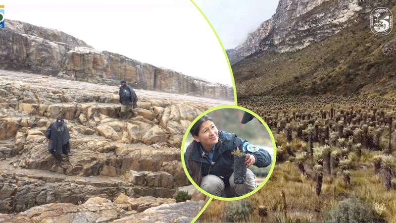 Foto: Parques de Colombia