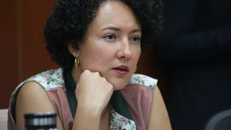 Los magistrados recolectan pruebas para definir si abren investigaciones formales contra la senadora Isabel Zuleta. Foto: cortesía.