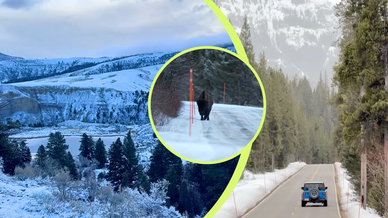 Así es el parque de Yellowstone. Capturas de pantalla de video del cnala de Youtube de Kike Arnaiz.
