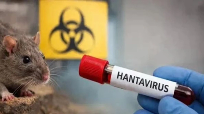 Preocupación mundial por brote de hantavirus en crucero. Foto: tomada de redes sociales
