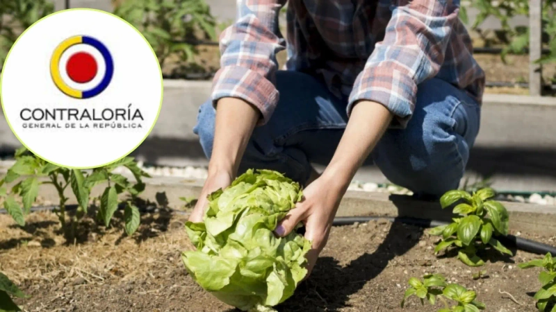 La Contraloría detectó vacíos en los soportes técnicos, jurídicos y geoespaciales que sustentan estas decisiones. Foto: cortesía