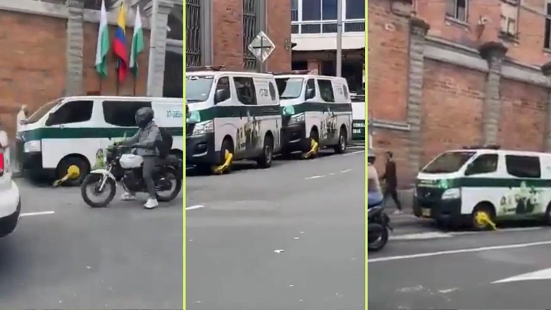 La escena generó sorpresa y también comentarios cargados de humor entre los transeúntes. Foto: capturas de video