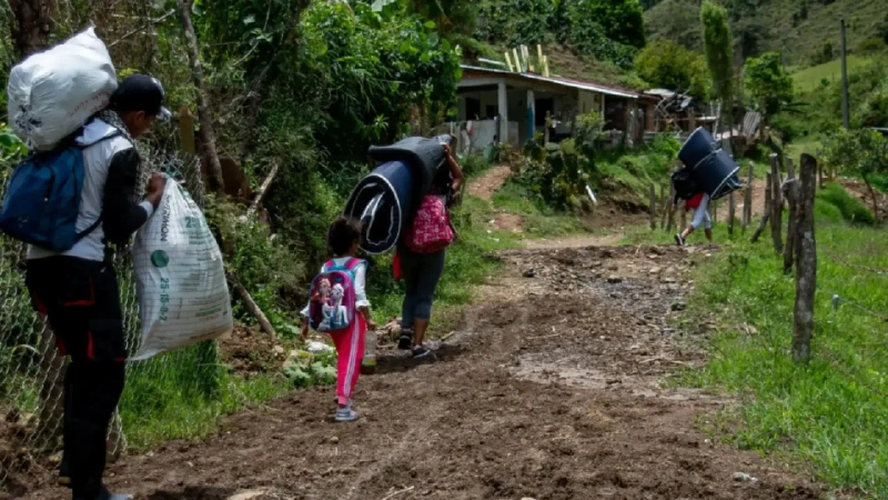 Antioquia es uno de los territorios con mayores afectaciones por minas, explosivos improvisados y municiones abandonadas. Foto: cortesía
