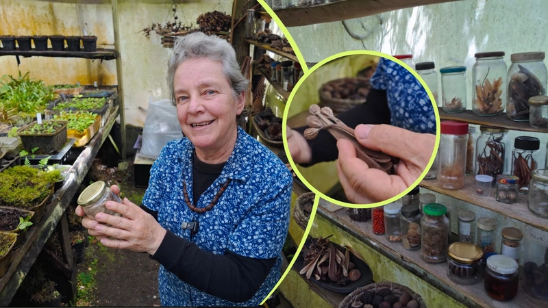Este jardín botánico del Oriente antioqueño protege árboles nativos y especies difíciles de encontrar, en un espacio donde el agua guía el paisaje. Fotos: Captura de pantalla video Visita a Cantos de Agua.